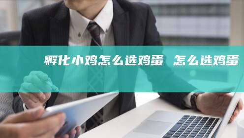 孵化小鸡怎么选鸡蛋 怎么选鸡蛋