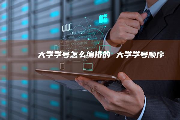 大学学号怎么编排的 大学学号顺序