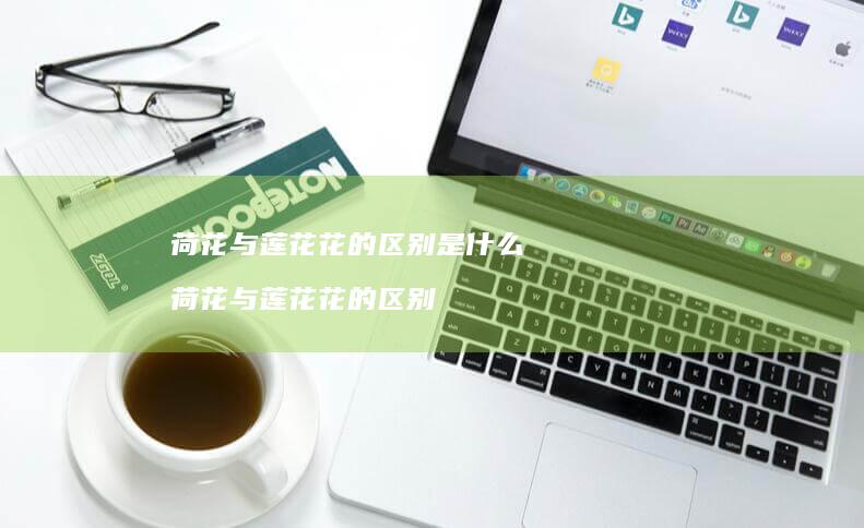 荷花与莲花花的区别是什么 荷花与莲花花的区别