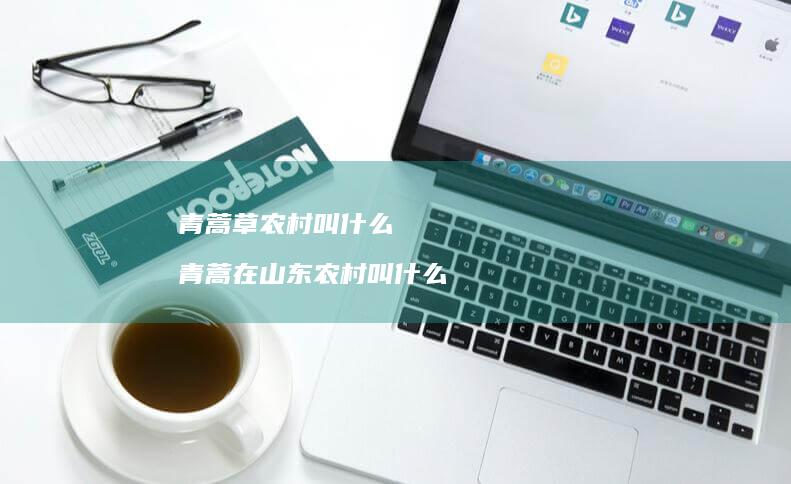 青蒿草农村叫什么青蒿在山东农村叫什么