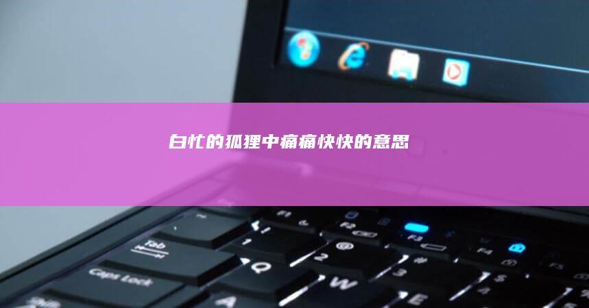 白忙的狐狸中痛痛快快的意思
