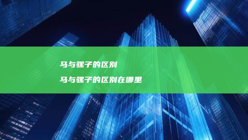 马与骡子的区别马与骡子的区别在哪里