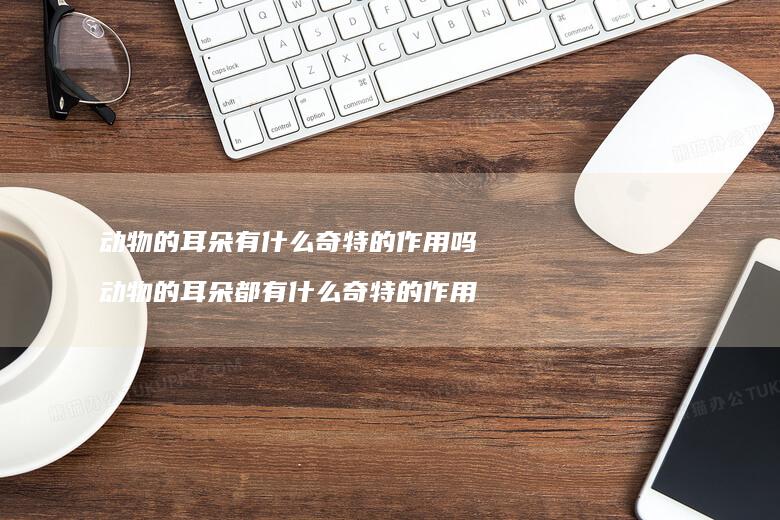 动物的耳朵有什么奇特的作用吗动物的耳朵都有什