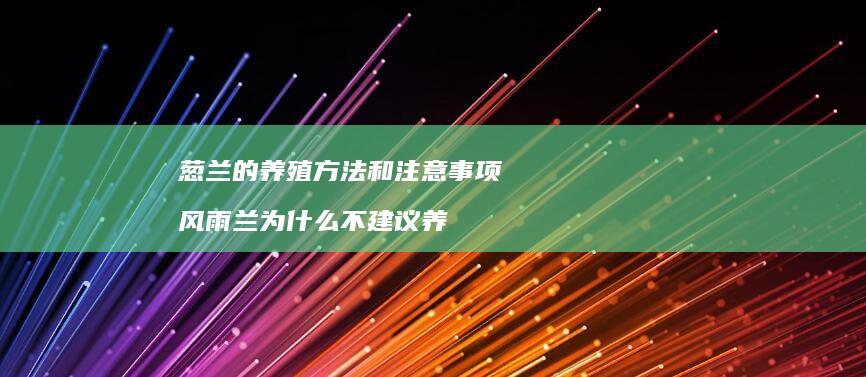 葱兰的养殖方法和注意事项风雨兰为什么不建议养