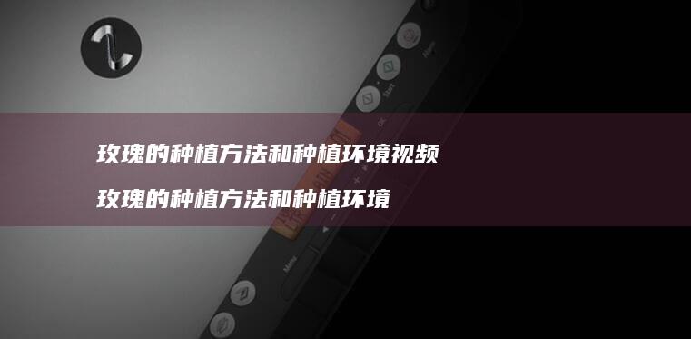 玫瑰的种植方法和种植环境视频玫瑰的种植方法和