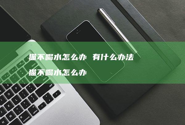 猫不喝水怎么办有什么办法猫不喝水怎么办