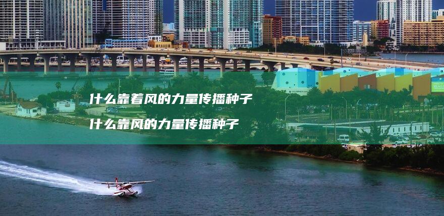 什么靠着风的力量传播种子 什么靠风的力量传播种子