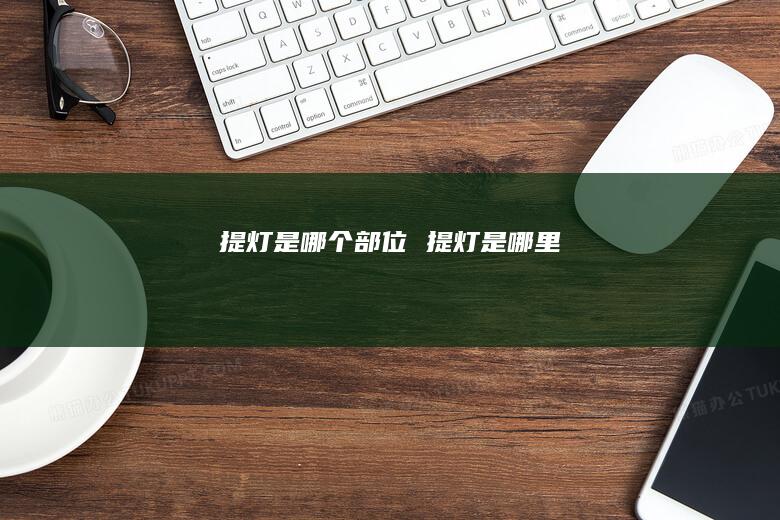 提灯是哪个部位 提灯是哪里