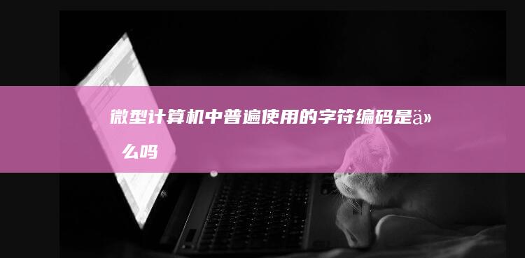 微型计算机中普遍使用的字符编码是什么吗