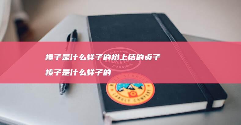 榛子是什么样子的树上结的贞子榛子是什么样子的