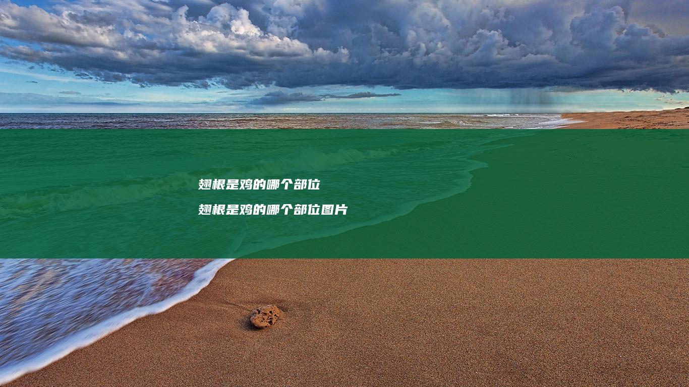 翅根是鸡的哪个部位翅根是鸡的哪个部位图片