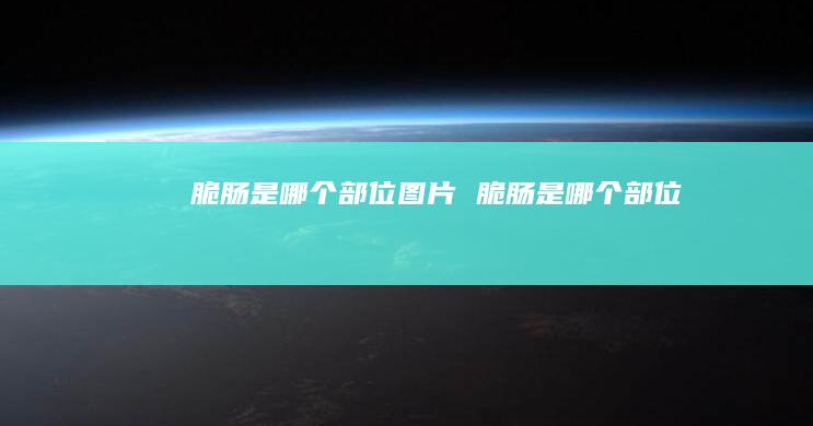脆肠是哪个部位图片脆肠是哪个部位