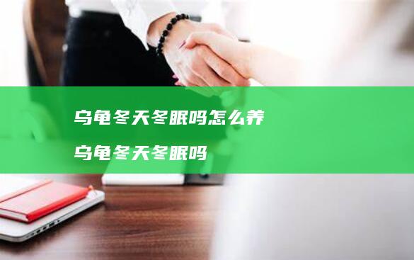 乌龟冬天冬眠吗怎么养乌龟冬天冬眠吗