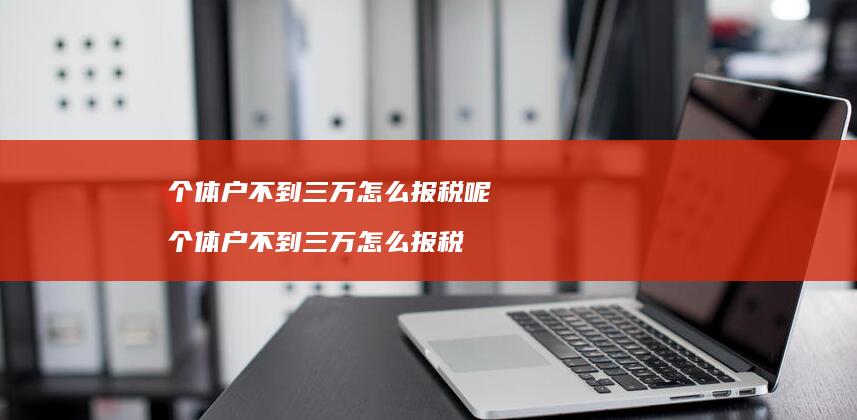 个体户不到三万怎么报税呢个体户不到三万怎么报