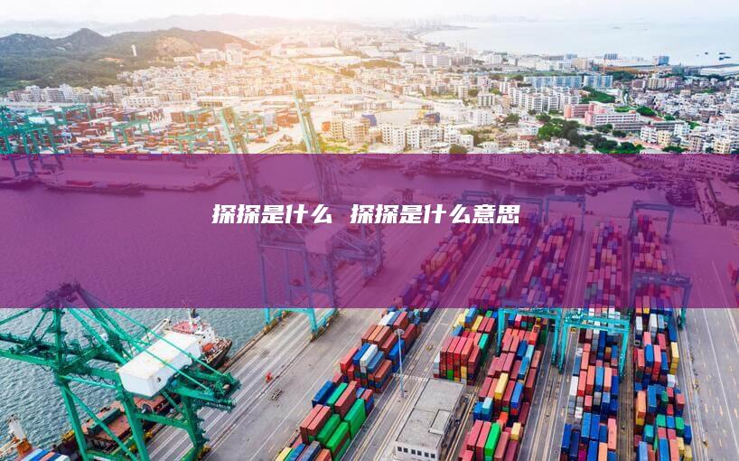 探探是什么探探是什么意思