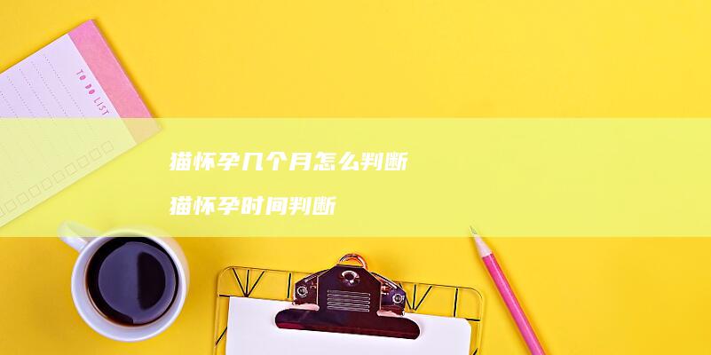 猫怀孕几个月怎么判断猫怀孕时间判断