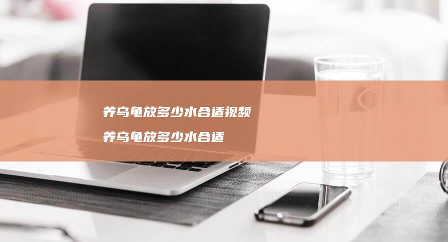 养乌龟放多少水合适视频 养乌龟放多少水合适