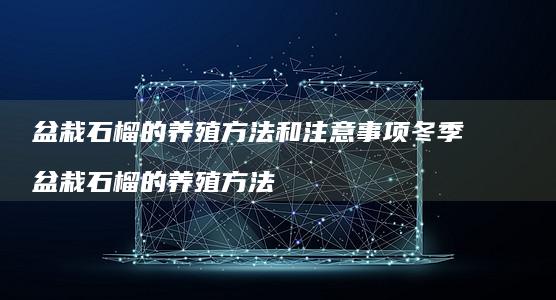 盆栽石榴的养殖方法和注意事项冬季 盆栽石榴的养殖方法