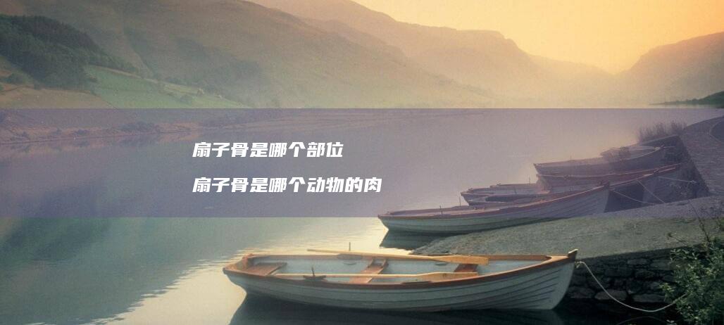 扇子骨是哪个部位 扇子骨是哪个动物的肉