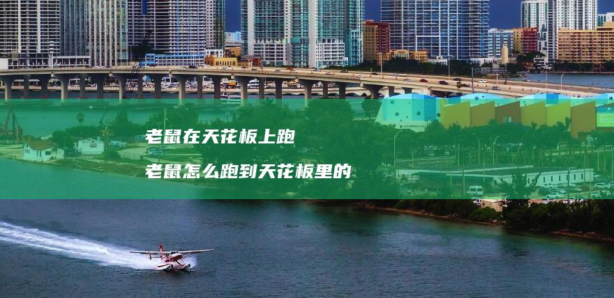 老鼠在天花板上跑老鼠怎么跑到天花板里的