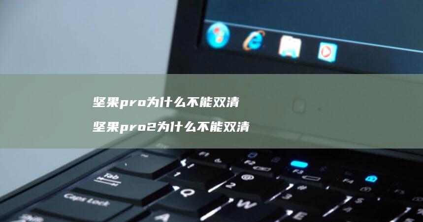 坚果pro为什么不能双清坚果pro2为什么不