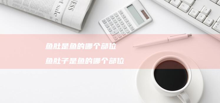 鱼肚是鱼的哪个部位鱼肚子是鱼的哪个部位