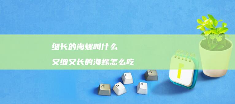 细长的海螺叫什么又细又长的海螺怎么吃