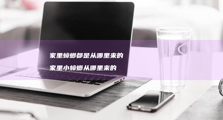 家里蟑螂都是从哪里来的家里小蟑螂从哪里来的