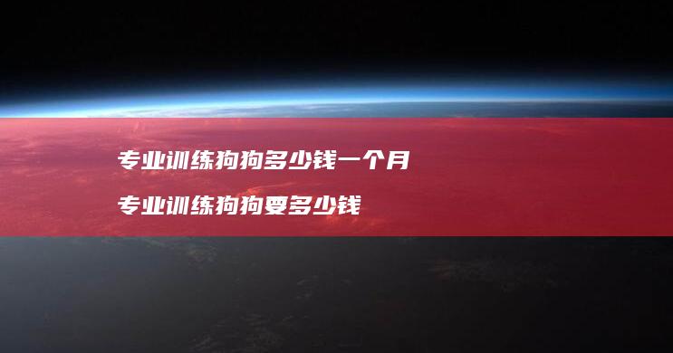 专业训练狗狗多少钱一个月 专业训练狗狗要多少钱