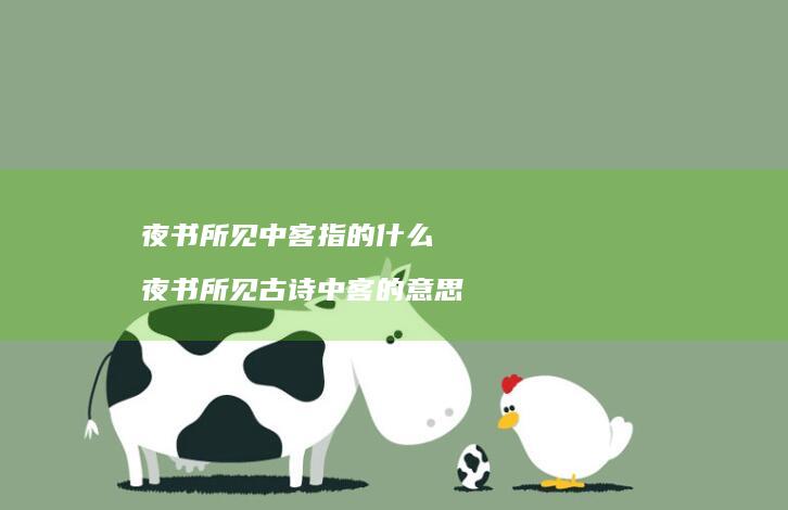 夜书所见中客指的什么夜书所见古诗中客的意思