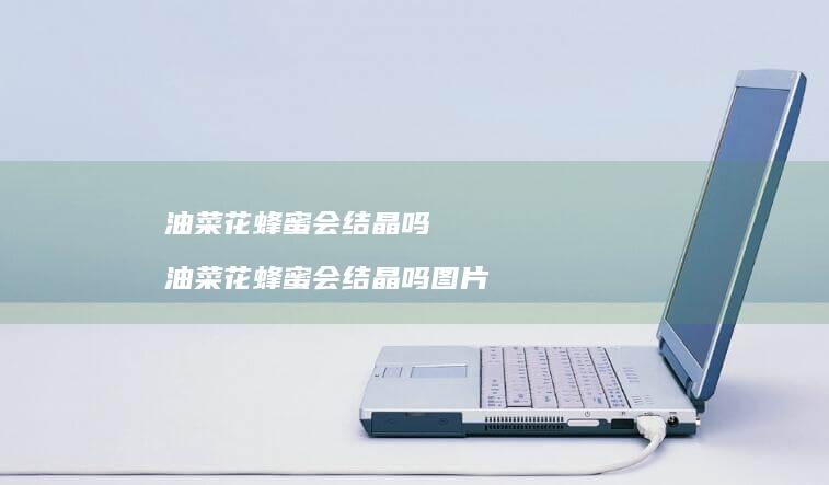 油菜花蜂蜜会结晶吗油菜花蜂蜜会结晶吗图片