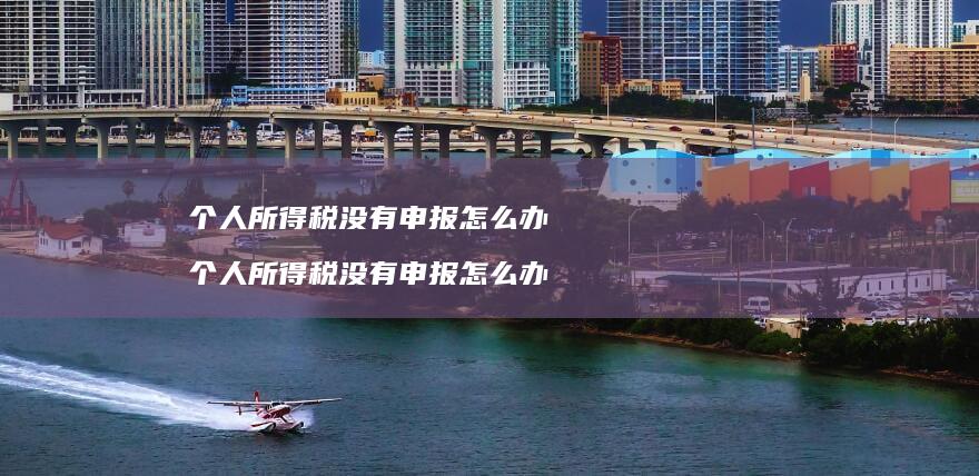 个人所得税没有申报怎么办个人所得税没有申报怎