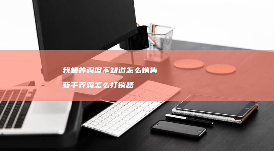 我想养鸡但不知道怎么销售新手养鸡怎么打销路