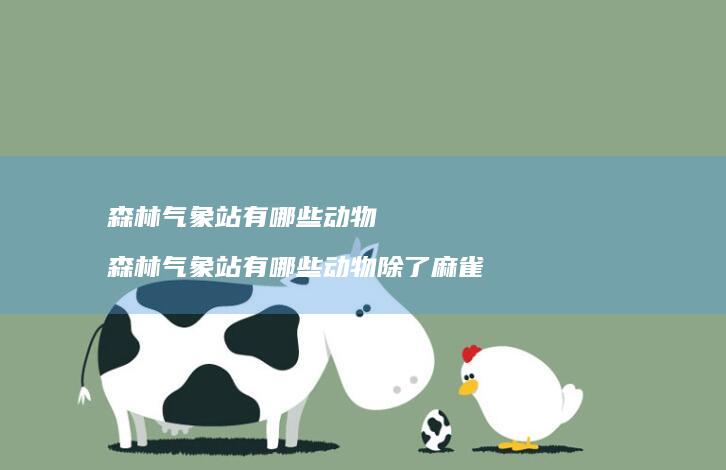 森林气象站有哪些动物 森林气象站有哪些动物除了麻雀