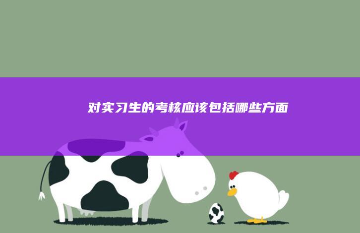 对实习生的考核应该包括哪些方面
