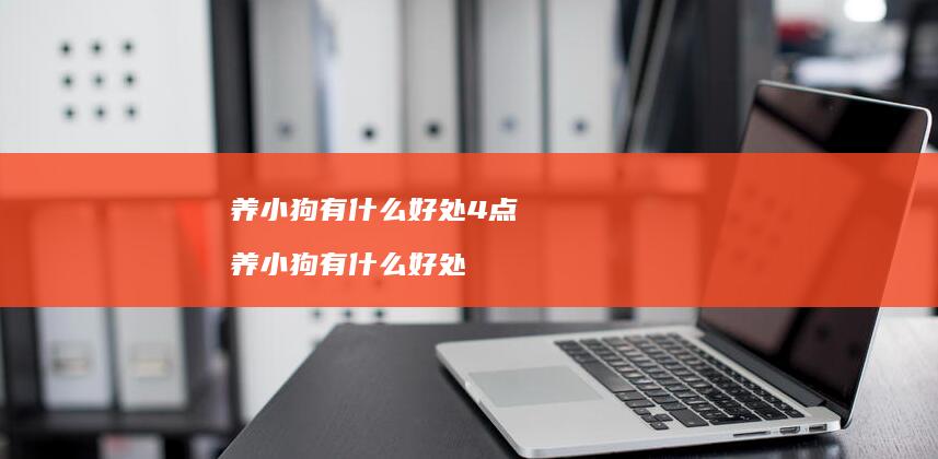 养小狗有什么好处4点 养小狗有什么好处