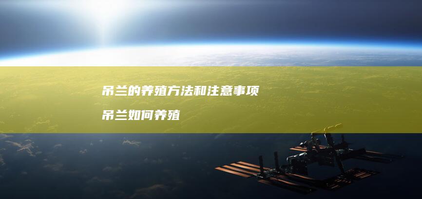 吊兰的养殖方法和注意事项 吊兰如何养殖