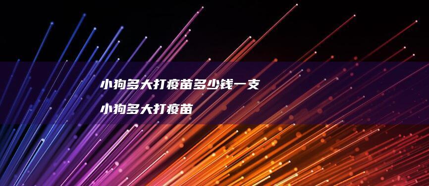 小狗多大打疫苗多少钱一支 小狗多大打疫苗