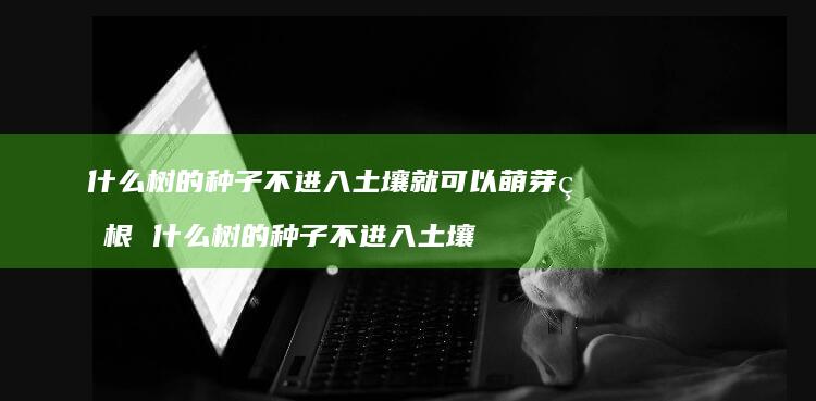 什么树的种子不进入土壤就可以萌芽生根 什么树的种子不进入土壤