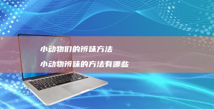 小动物们的辨味方法 小动物辨味的方法有哪些