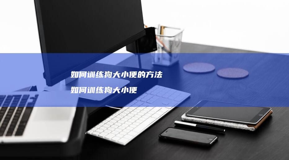如何训练狗大小便的方法如何训练狗大小便