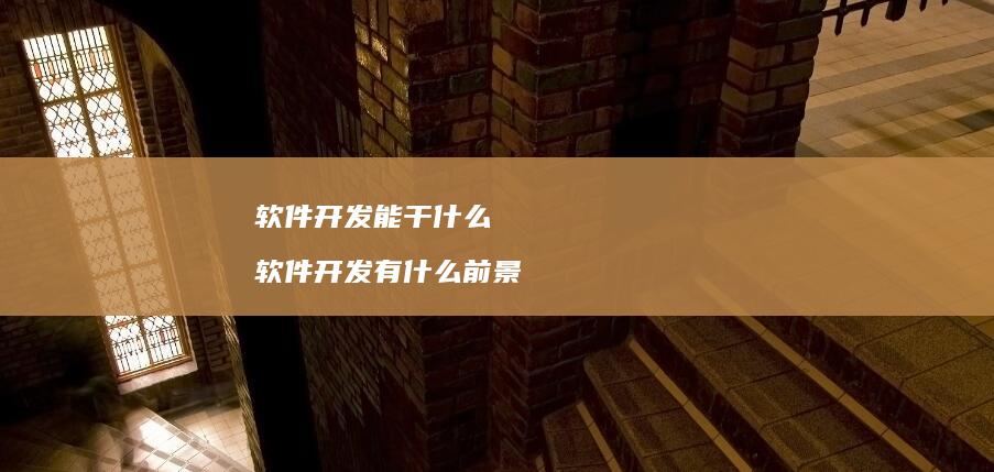 软件开发能干什么软件开发有什么前景