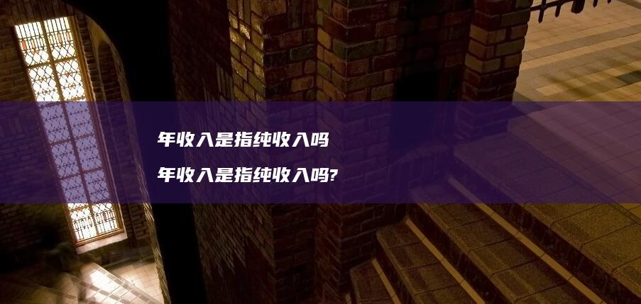 年收入纯收入吗年收入纯收入吗?