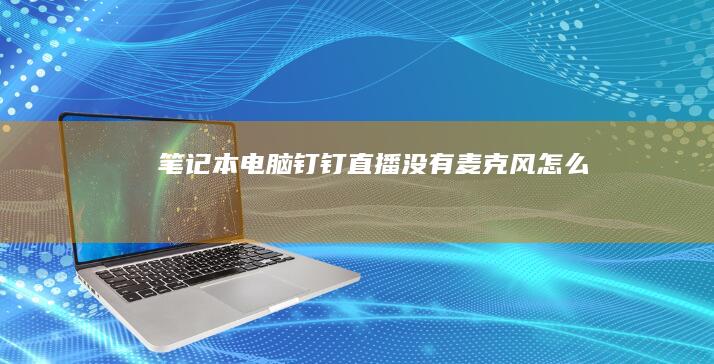 笔记本电脑钉钉直播没有麦克风怎么办