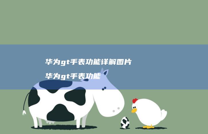 华为gt手表功能详解图片 华为gt手表功能