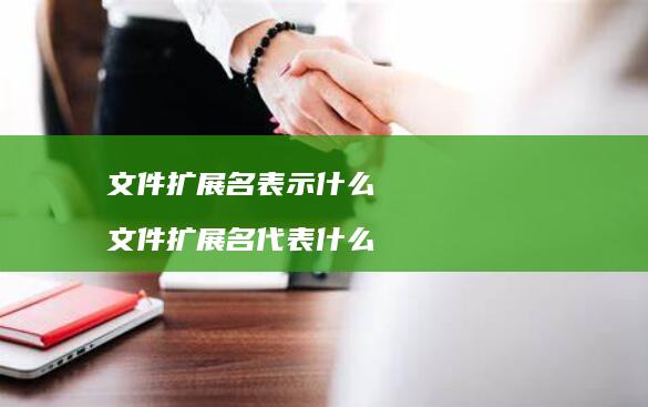 文件扩展名表示什么 文件扩展名代表什么