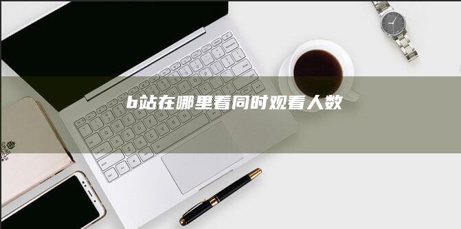 b站在哪里看同时观看人数