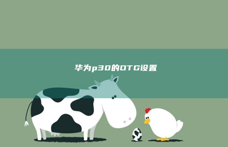 华为p30的OTG设置