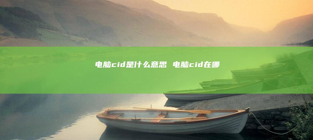 电脑cid是什么意思电脑cid在哪