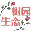 树园生态网_养花知识_花语大全_养花技巧_家庭养花